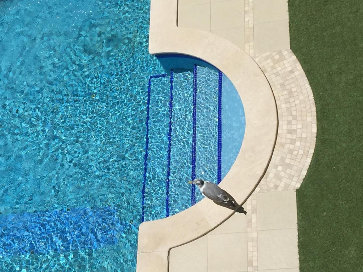 3 Min Walking To Peneco Beach Albufeira At Sol A Sul Apartments Extérieur photo